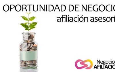 ¿Buscas una oportunidad de negocio? Considera la afiliación en gestorías y asesorías