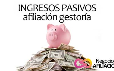 Genera ingresos pasivos promocionando servicios de gestoría y asesoría como afiliado